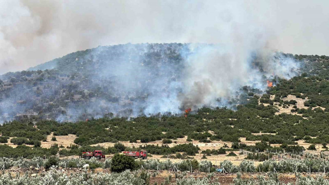 Kahramanmaraş’ta makilik alanda yangın