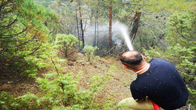 Karabük’te orman yangını kısmi olarak kontrol altına alındı