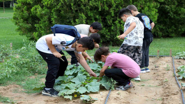 Karatay tabiat mektebi yaz dönemi eğitimleri sürüyor