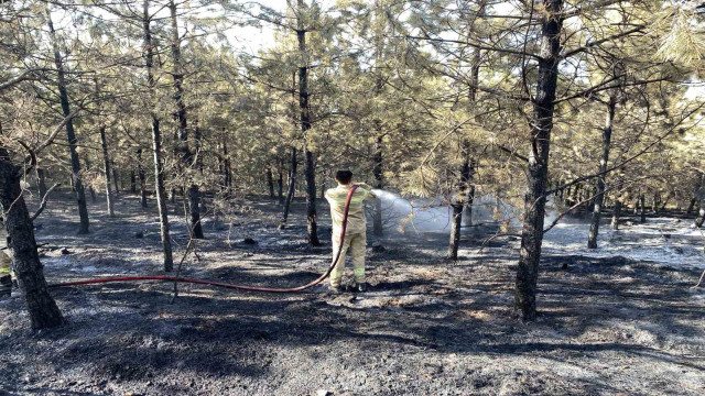 Kastamonu’daki orman yangını kontrol altına alındı