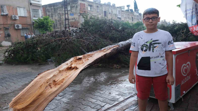 Küçük çocuk fırtınada devrilen ağacın altında kalmaktan son anda kurtuldu