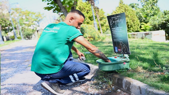 Kuşadası Belediyesi mevsim normalleri üzerinde seyrden sıcaklar nedeniyle sokak hayvanları için sulukların sayısını arttırdı