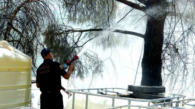 Menteşe’de yangın, ekiplerin zamanında müdahalesi ile söndürüldü