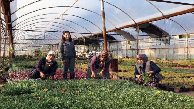 Muğla Büyükşehir Belediyesi 4 ilçede tarım market kuruyor