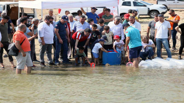 Muğla’daki baraj ve göletlere 370 bin sazan yavrusu bırakıldı