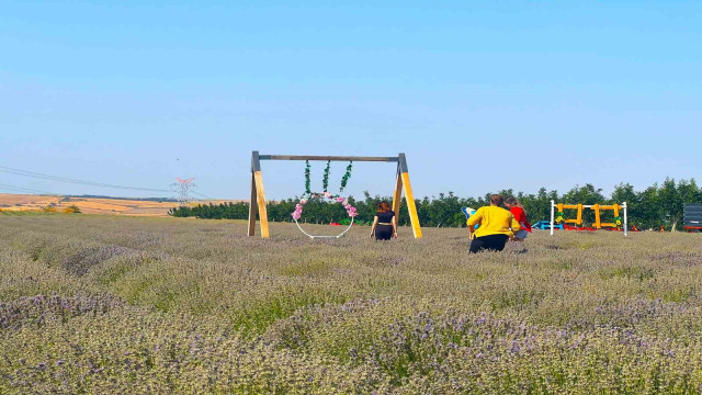 Tekirdağ 4’üncü Lavanta Günleri başlıyor