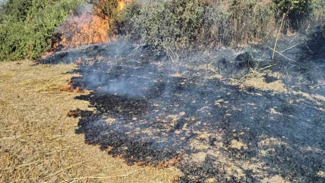 Tekirdağ’da anız yangını