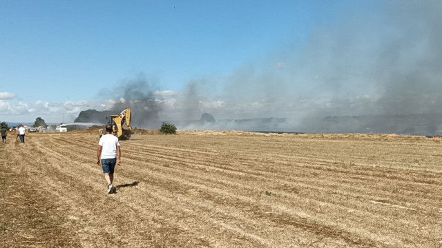 Tekirdağ’da anız yangını