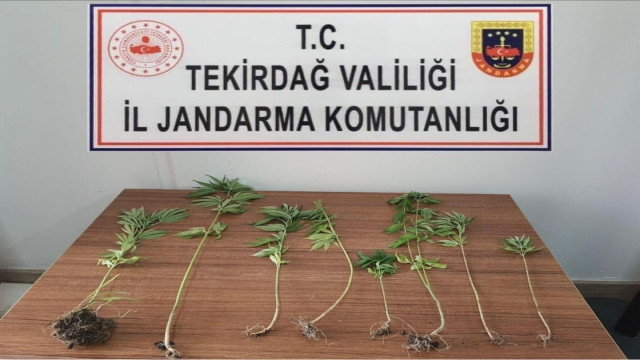 Tekirdağ’da uyuşturucu operasyonları: 8 kişi yakalandı