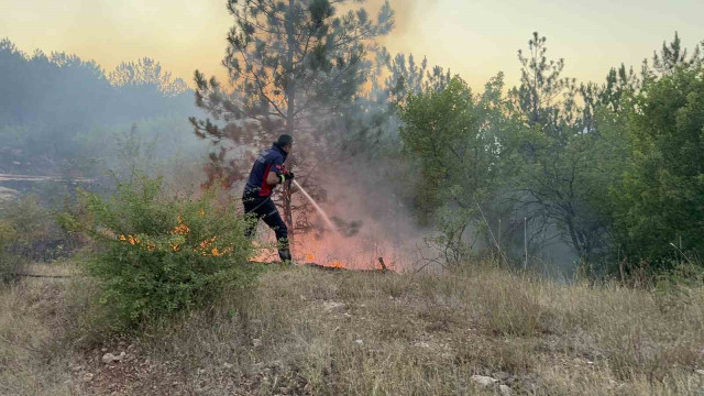 Tokat’ta korkutan orman yangını