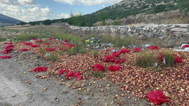 Yaklaşık 2 ton kuru soğanı boş araziye döküp gittiler