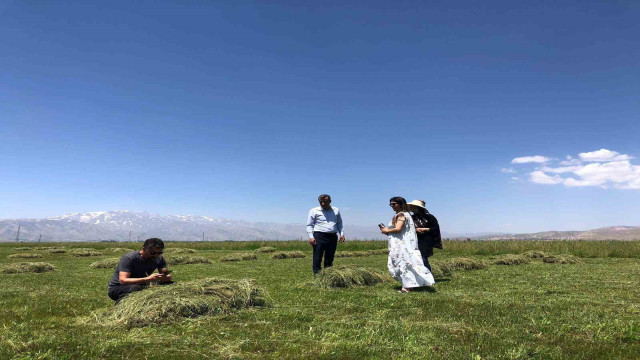 Yüksekova’da yağışlar çiftçilerin yüzünü güldürdü