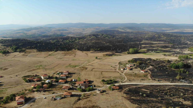 Ankara-Bolu sınırında yanan bölge dronla görüntülendi