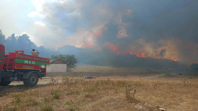 Ankara Kızılcahamam’da ormanlık alanda yangın çıktı