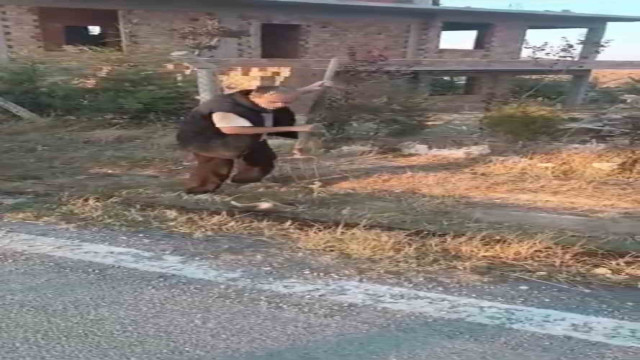 Ankara’nın Polatlı ilçesinde vahşet