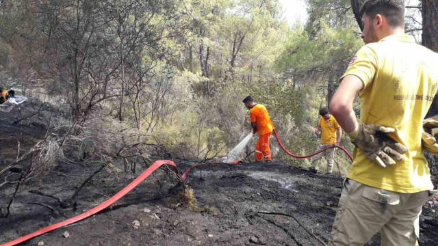 Antalya Kemer’de çıkan orman yangını kontrol altına alındı