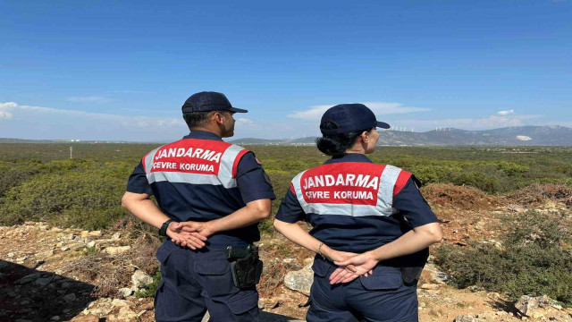 Aydın’da jandarma ekiplerinden Bafa Gölü’ndeki kuş ve balık türlerini korumak için yoğun denetim