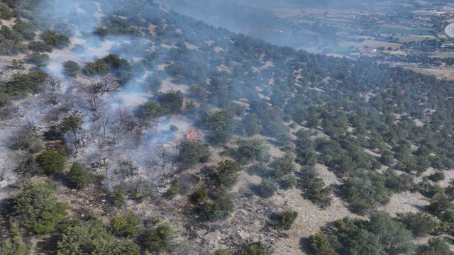 Başkan Ural, ”Piknik yapma işini erteleyelim”