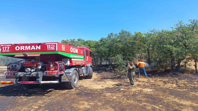 Bingöl’de 6 bölgede çıkan yangınlar söndürüldü