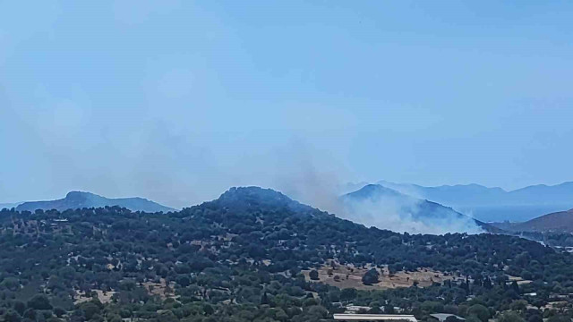 Bodrum’da makilik alanda yangın