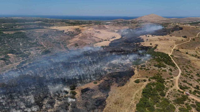 Bozcaada’daki orman yangını kontrol altına alındı