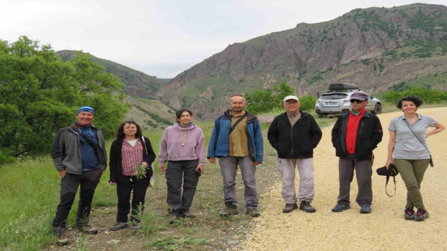 Bu bitki, dünyada sadece Tunceli’nin 2 köyünde var