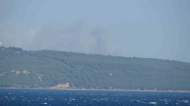 Çanakkale’de orman yangını