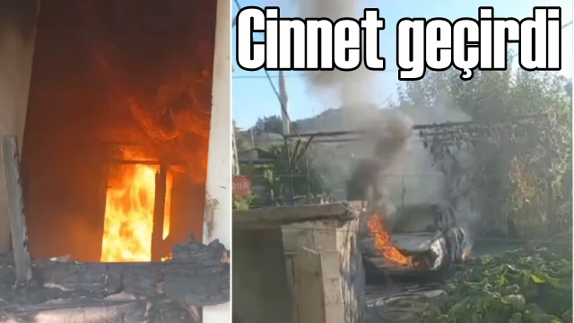 Cinnet geçirdi