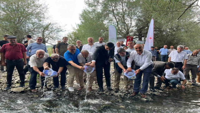 Devrekani Çayı’na 5 bin alabalık salındı