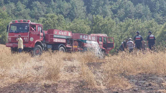 Domaniç‘te yıldırım düşmesi sonucu yangın çıktı