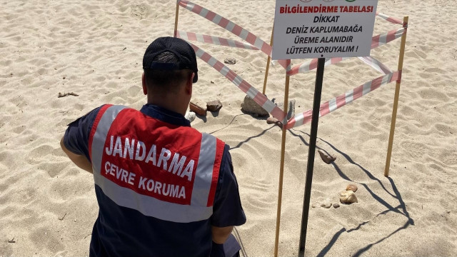 Edirne’de kaplumbağa üreme alanlarına denetim