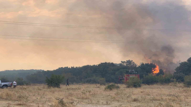 Edirne’de orman yangını anızlık alana sıçradı: 2 baraka zarar gördü