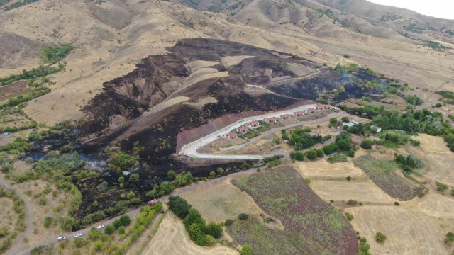 Elazığ’da 200 dönüm alan yangında kül oldu