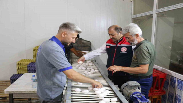 Erzincan’da tam otomatik tesislerde üretilen yumurtalar tarıma değer katıyor