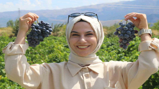 Erzincan’ın tescilli Cimin üzümü, dünyaca meşhur İtalya’nın üzümüne rakip oldu