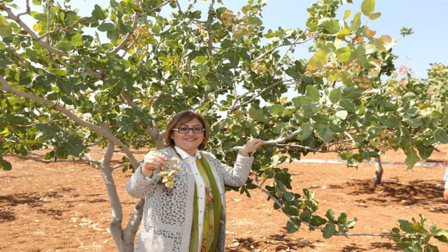 GastroAntep Kültür Yolu Festivali ile Gaziantep’in mutfak ve kültür zenginliği yeniden dünya sahnesinde