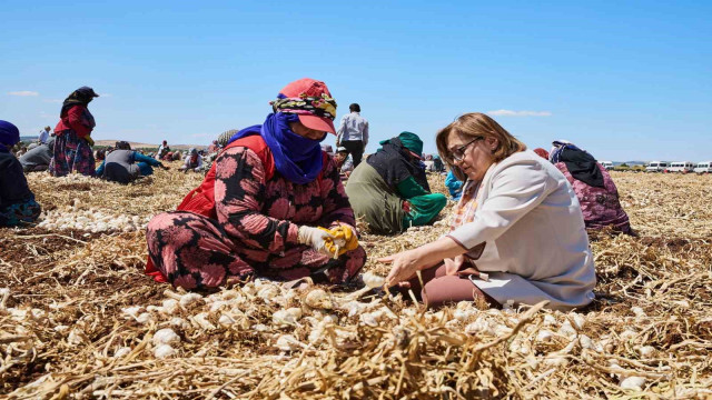 Gaziantep’te ”Haydi Tarladan Sofraya” projesi ile çiftçi ile tüketici buluşturulacak