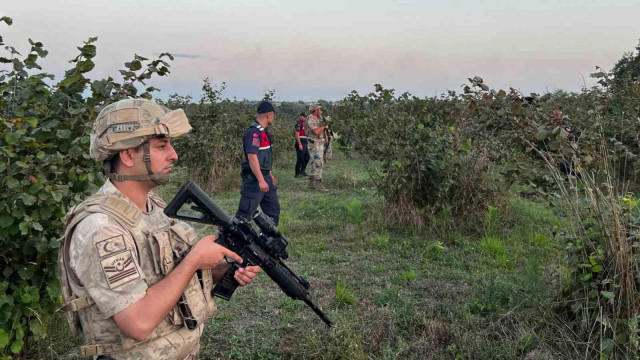 Hasat zamanı hırsızlara göz açtırılmıyor, komando birlikleri gece gündüz nöbet tutuyor