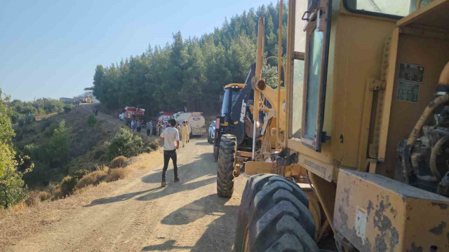 Hatay’da orman yangını