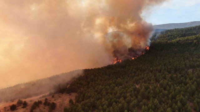 Ilgaz Dağı’nda gökyüzüne yükselen alevler havadan görüntülendi