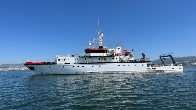 İzmit Körfezi’nde deniz ekosistemi hayat buluyor