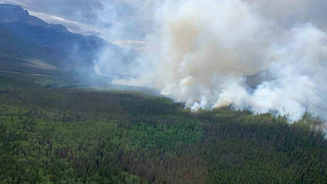 Kanada’nın Alberta eyaletindeki orman yangınında 1 kişi öldü