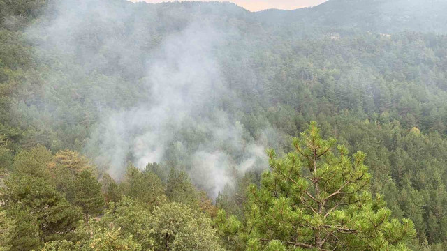 Karabük’te düşen yıldırım orman yangını çıkardı