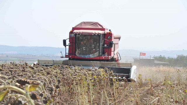 Keşan’da ayçiçeği hasadı başladı