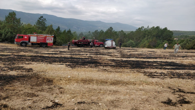 Kopan elektrik telleri yangına neden oldu