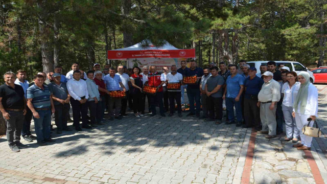 Kuyucak’ta geçci domates hasat şenliği yapıldı