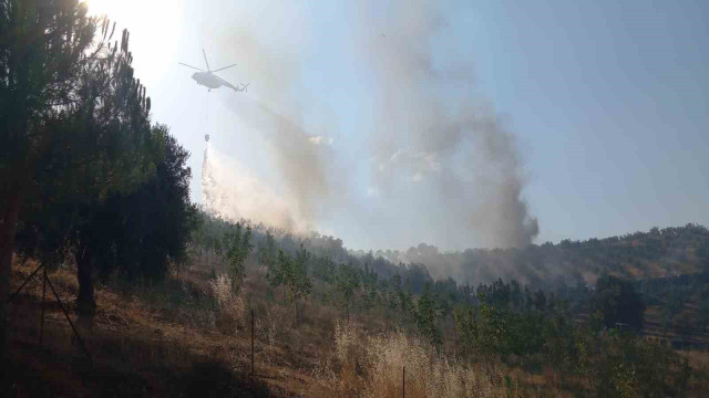 Manisa’da 50 hektar alan kül oldu