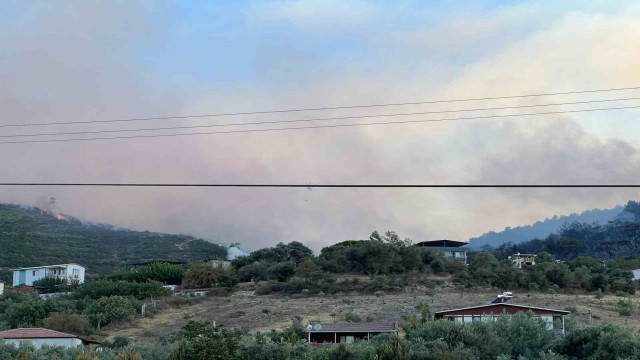 Manisa’daki orman yangını kontrol altına alındı