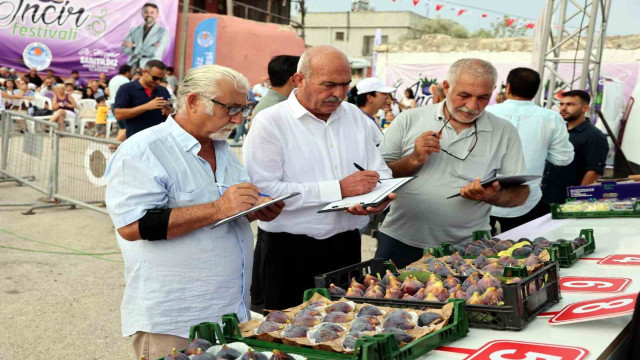 Mersin’de ’Bağlarbaşı İncir Festivali’ düzenlendi