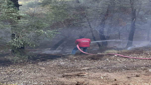 Milas yangınına bölgedeki Termik Santral ekipleri de müdahale ediyor